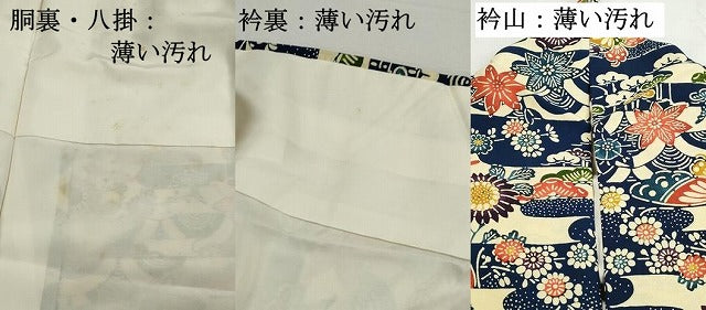 平和屋着物■上質な小紋　型染め　エ霞花蝶文　正絹　逸品　DABK3290qa
