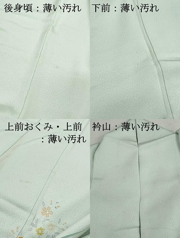 平和屋着物■訪問着　風景花文　正絹　逸品　DABK3291qa