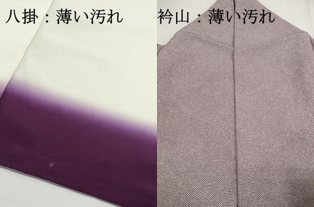 平和屋着物■江戸小紋　鮫小紋柄　正絹　逸品　DABK3299qa