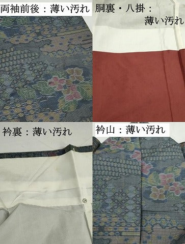 平和屋着物■本場大島紬　7マルキ　雲取り草花文　正絹　逸品　DABK3300qa