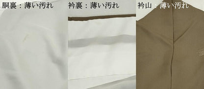 平和屋着物■訪問着　松花文　金彩　ロング丈　正絹　逸品　DABK3303qa