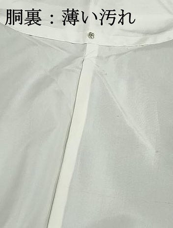 平和屋着物■本場染大島紬　作家物　草花間道　正絹　逸品　DABK3317qa