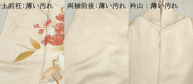 平和屋着物■訪問着　駒刺繍　枝花文　金彩　正絹　逸品　DABK3417qa