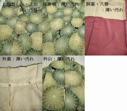 平和屋着物■上質な小紋　菊尽くし　鬼しぼ縮緬　正絹　逸品　DABK3427qa