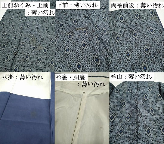 平和屋着物■本場大島紬　亀甲花文　割り込み絣　正絹　逸品　DABK3437qa