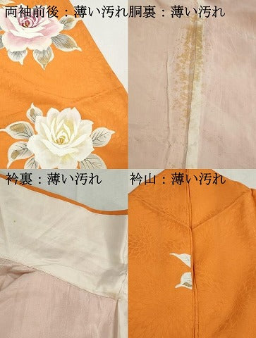 平和屋着物■豪華振袖　薔薇尽くし　金彩　正絹　逸品　DABK3481qa