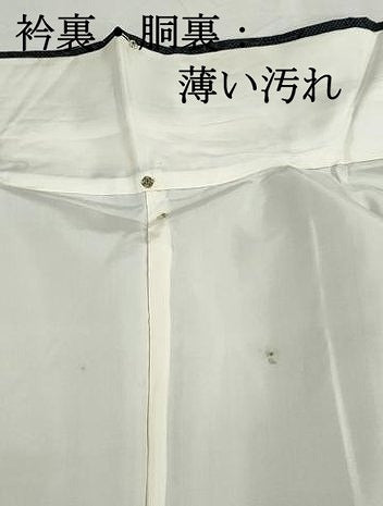 平和屋着物■本場大島紬　7マルキ　風景花文　正絹　逸品　DABK3496ya