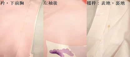 平和屋着物[]お宮参り　女の子　祝着　産着　初着　のしめ　友禅　束ね熨斗花文　松竹梅　暈し染め　逸品　DABK5171ea