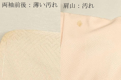 平和屋着物■訪問着　刺繍　枝花文　暈し染め　金彩　正絹　逸品　DABK5663sf