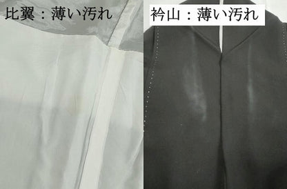 平和屋着物■豪華黒留袖　色紙枝花文　暈し染め　金彩　正絹　逸品　DABK6024qa