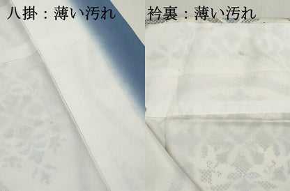 平和屋着物■小紋　立涌花文　伊勢丹扱い　洗える着物　DABK6049qa