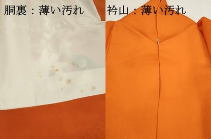 平和屋着物■豪華色留袖　刺繍　孔雀花文　暈し染め　金銀糸　正絹　逸品　DABK6075qa
