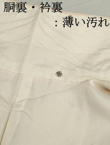 平和屋着物■上質な色無地　風景地紋　薄香色　正絹　逸品　DABK6111qa