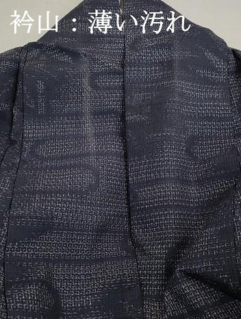 平和屋着物■結城紬　80亀甲　笹竹文　正絹　逸品　DABK6139qa
