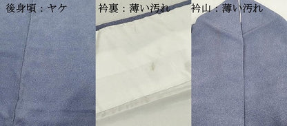 平和屋着物■江戸小紋　鮫小紋柄　正絹　逸品　DABK6163qa
