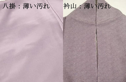 平和屋着物■江戸小紋　青海波　正絹　逸品　DABK6291qa