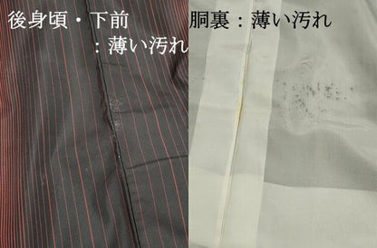 平和屋着物■本場縞大島紬　間道　正絹　逸品　DABK6297qa