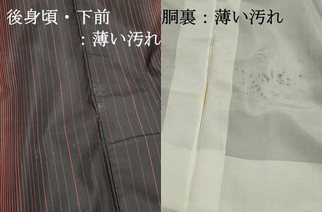 平和屋着物■本場縞大島紬　間道　正絹　逸品　DABK6297qa