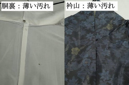 平和屋着物■本場大島紬　草花文　正絹　逸品　DABK6303qa