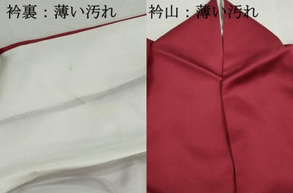平和屋着物■訪問着　枝花文　暈し染め　正絹　逸品　DABK6306qa