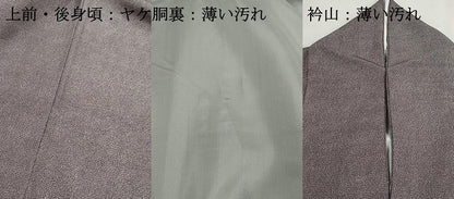 平和屋着物■江戸小紋　鮫小紋柄　正絹　逸品　DABK6308qa