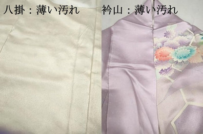 平和屋着物■訪問着　刺繍　草花文　牡丹　暈し染め　銀彩　正絹　逸品　DABK6310qa