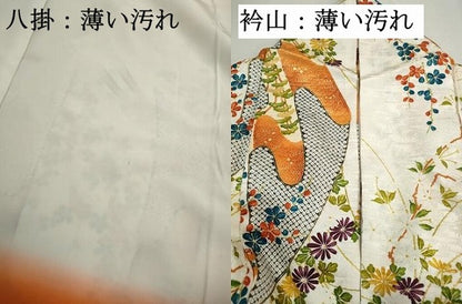 平和屋着物■上質な小紋　草花文　金彩　正絹　逸品　DABK6338qa