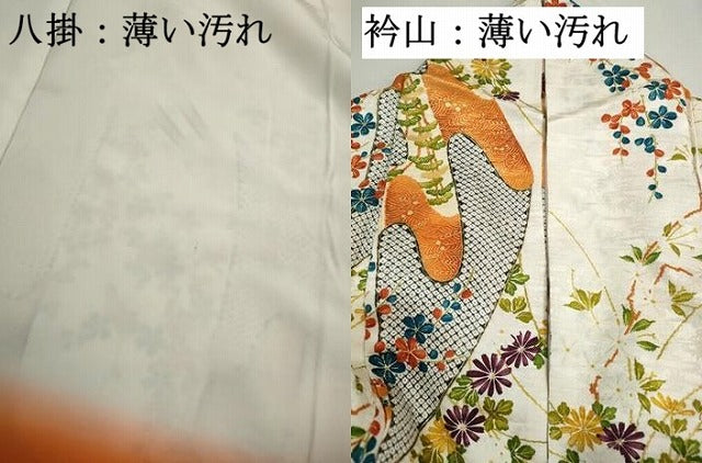 平和屋着物■上質な小紋　草花文　金彩　正絹　逸品　DABK6338qa