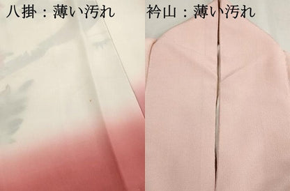 平和屋着物■訪問着　風景花文　暈し染め　鬼しぼ縮緬　正絹　逸品　DABK6343qa