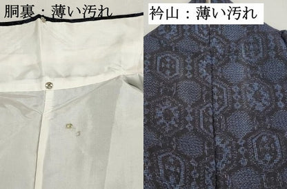 平和屋着物■上質な紬　亀甲文　正絹　逸品　DABK6368qa
