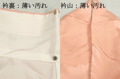 平和屋着物■豪華振袖　草花地紋　暈し染め　正絹　逸品　DABK6372qa