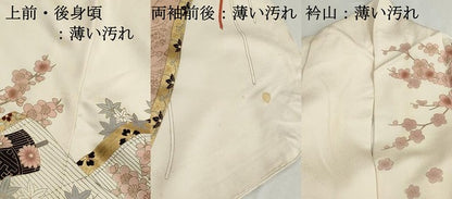 平和屋着物■豪華振袖　絵巻花文　金彩　正絹　逸品　DABK6382qa