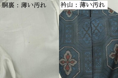 平和屋着物■本場大島紬　亀甲花文　正絹　逸品　DABK6384qa
