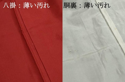 平和屋着物■本場大島紬　草花文　正絹　逸品　DABK6395qa