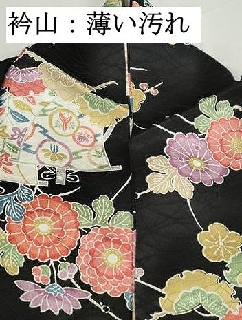 平和屋着物■上質な小紋　花鳥文　黒地　金彩　正絹　逸品　DABK6396qa