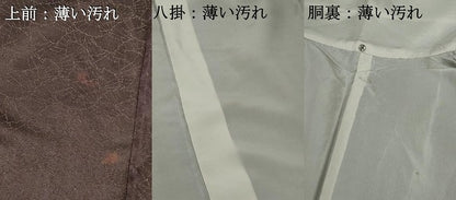 平和屋着物■上質な小紋　寿光織　扇面尽くし　金糸　正絹　逸品　DABK6432qa
