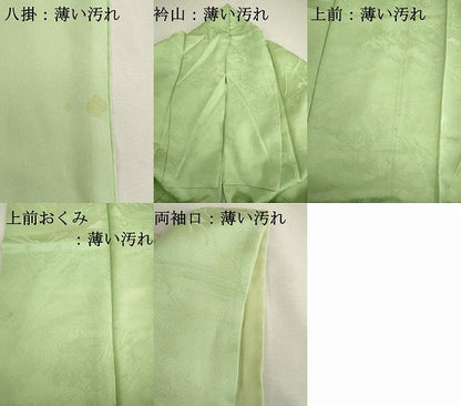 平和屋着物■上質な色無地　風景地紋　若菜色　正絹　逸品　DABK6594ya