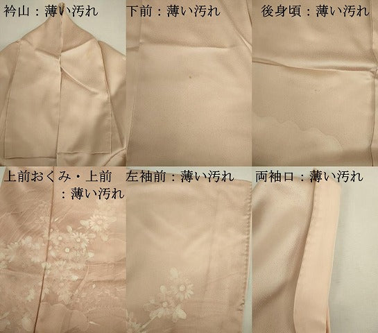 平和屋着物■訪問着　手描き　刺繍　草花文　暈し染め　正絹　逸品　DABK6617ya