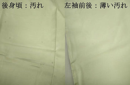 平和屋着物■訪問着　草花文　暈し染め　正絹　逸品　DABK6624ya