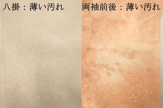 平和屋着物■上質な小紋　抽象文様　暈し染め　正絹　逸品　DABK6700ya
