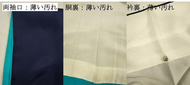 平和屋着物■訪問着　花蝶文　金彩　正絹　逸品　DABK6744ya