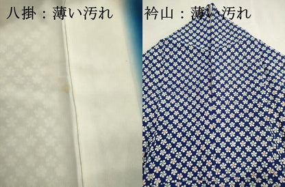 平和屋着物■上質な小紋　小花尽くし　正絹　逸品　DABK6829ya