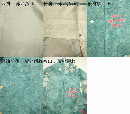 平和屋着物■上質な小紋　絞り　舞花文　暈し染め　正絹　逸品　DABK6830ya