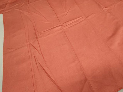 平和屋着物■江戸小紋　行儀　正絹　逸品　DABK6847ya