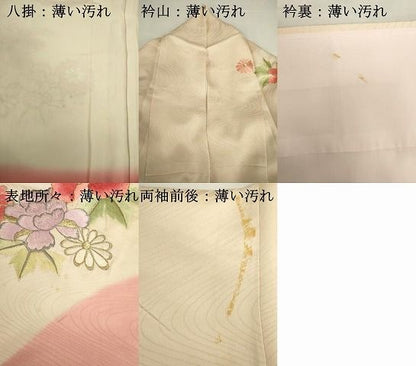 平和屋着物■豪華振袖　駒刺繍　花鳥文　暈し染め　金彩　正絹　逸品　DABK6990ya