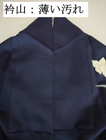 平和屋着物■訪問着　草花文　杜若　カキツバタ　正絹　逸品　DABK6991ya