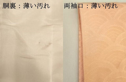 平和屋着物■上質な小紋　青海波地紋　暈し染め　正絹　逸品　DABK6995ya