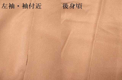 平和屋着物●訪問着　霞文　鬼しぼ縮緬　正絹　逸品　DABK7878du