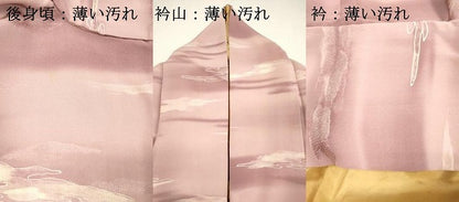 平和屋着物■上質な小紋　地紋起こし　雲取文　暈し染め　正絹　逸品　DABK9769cd