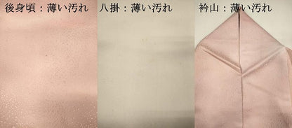 平和屋着物■上質な小紋　作家物　霞文　暈し染め　正絹　逸品　DABK9776cd